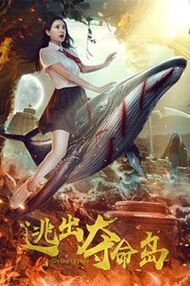 一区一片