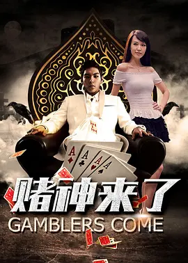 久久国产精品亚洲va麻豆