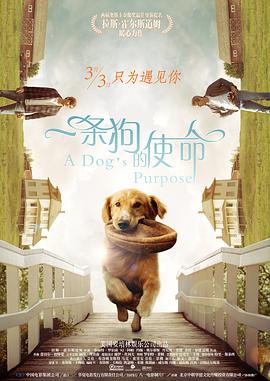 国产欧美一区二区三区免费