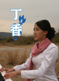 停车助手
