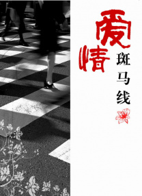 欧美成人精品第一区二区三区